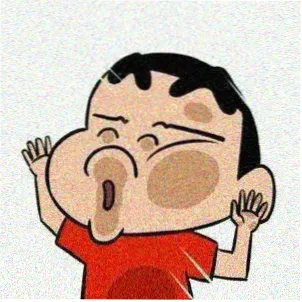 用户 枫叶味的橘子 的头像